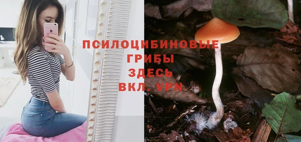эйфоретик Армянск